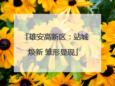 雄安高新区：站城焕新 雏形显现