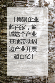 集聚企业超百家，盐城这个产业基地带动周边产业开票超百亿