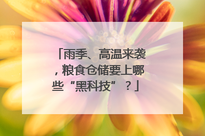 雨季、高温来袭，粮食仓储要上哪些“黑科技”？