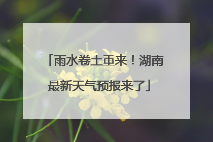 雨水卷土重来！湖南最新天气预报来了