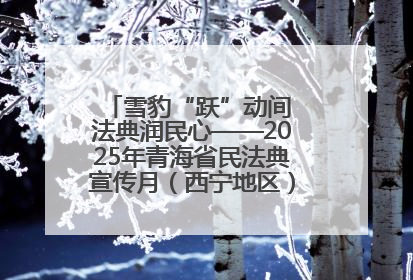 雪豹“跃”动间 法典润民心——2025年青海省民法典宣传月（西宁地区）主场活动见闻