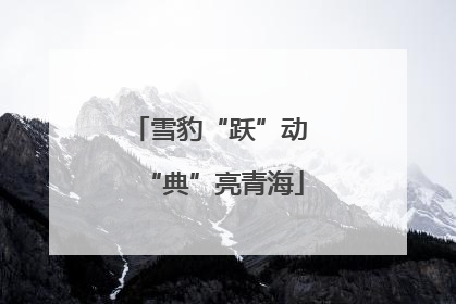 雪豹“跃”动 “典”亮青海