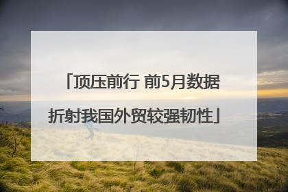 顶压前行 前5月数据折射我国外贸较强韧性