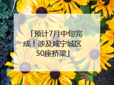 预计7月中旬完成！涉及咸宁城区50座桥梁