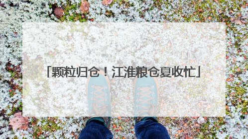 颗粒归仓！江淮粮仓夏收忙