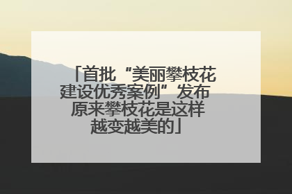 首批“美丽攀枝花建设优秀案例”发布 原来攀枝花是这样越变越美的