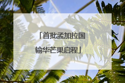 首批孟加拉国输华芒果启程