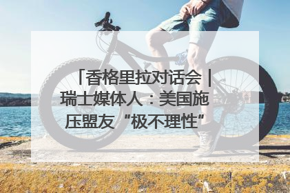 香格里拉对话会｜瑞士媒体人：美国施压盟友“极不理性” 欧洲国家无意与中国“脱钩断链”