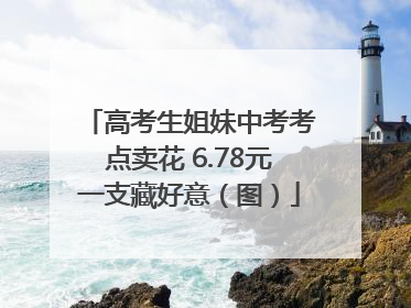 高考生姐妹中考考点卖花 6.78元一支藏好意（图）