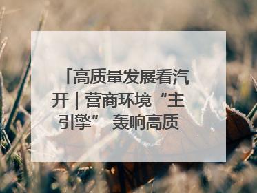 高质量发展看汽开｜营商环境“主引擎” 轰响高质量发展新赛道
