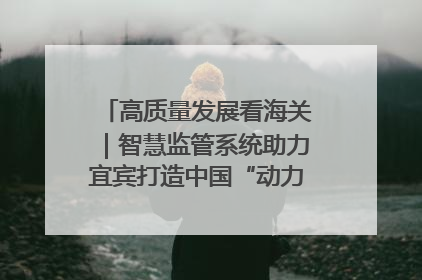高质量发展看海关｜智慧监管系统助力宜宾打造中国“动力电池之都”