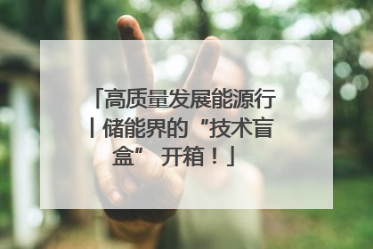 高质量发展能源行丨储能界的“技术盲盒” 开箱！