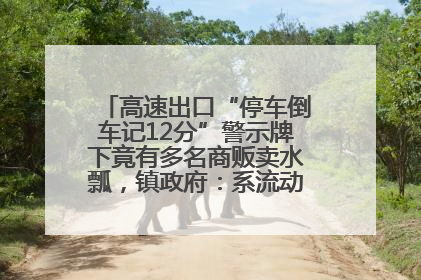 高速出口“停车倒车记12分”警示牌下竟有多名商贩卖水瓢，镇政府：系流动摊位，已多次劝离