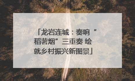 龙岩连城：奏响“稻薯烟”三重奏 绘就乡村振兴新图景