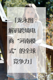 龙永图：解码跨境电商“河南模式”的全球竞争力