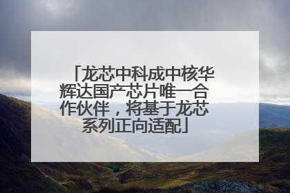 龙芯中科成中核华辉达国产芯片唯一合作伙伴，将基于龙芯系列正向适配