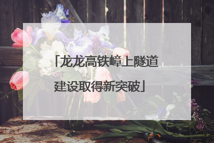 龙龙高铁嶂上隧道建设取得新突破