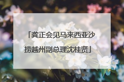 龚正会见马来西亚沙捞越州副总理沈桂贤