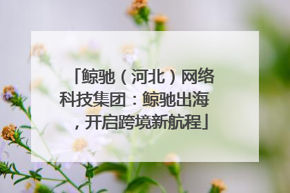 鲸驰（河北）网络科技集团：鲸驰出海，开启跨境新航程