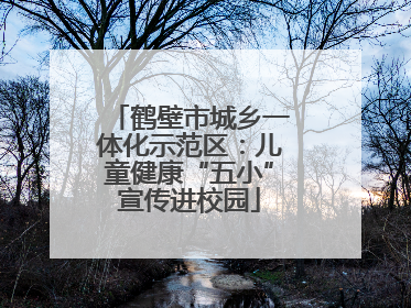 鹤壁市城乡一体化示范区：儿童健康“五小”宣传进校园