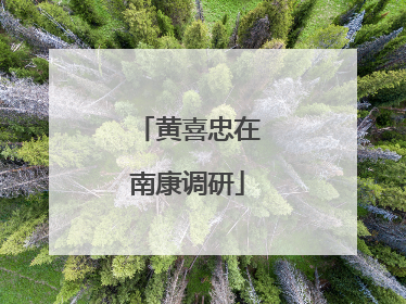 黄喜忠在南康调研