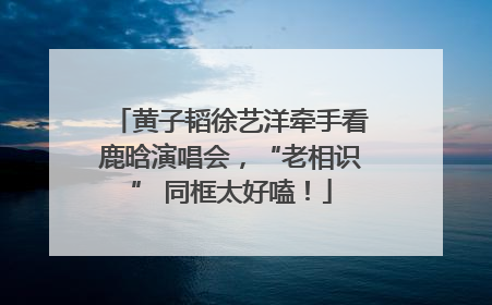 黄子韬徐艺洋牵手看鹿晗演唱会，“老相识” 同框太好嗑！