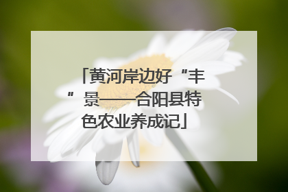 黄河岸边好“丰”景——合阳县特色农业养成记