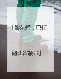 黎东辉，已任湖北省领导