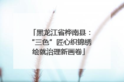 黑龙江省桦南县：“三色”匠心织锦绣 绘就治理新画卷