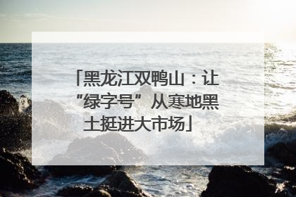 黑龙江双鸭山：让“绿字号”从寒地黑土挺进大市场