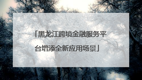 黑龙江跨境金融服务平台增添全新应用场景