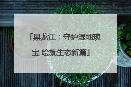 黑龙江：守护湿地瑰宝 绘就生态新篇