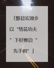 黟县宏潭乡以“绣花功夫”下好整治“先手棋”