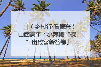 （乡村行·看振兴）山西高平：小辣椒“椒”出致富新答卷