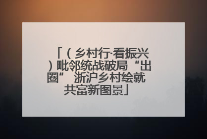 （乡村行·看振兴）毗邻统战破局“出圈” 浙沪乡村绘就共富新图景