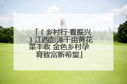 （乡村行·看振兴）江西彭泽千亩黄花菜丰收 金色乡村孕育致富新希望