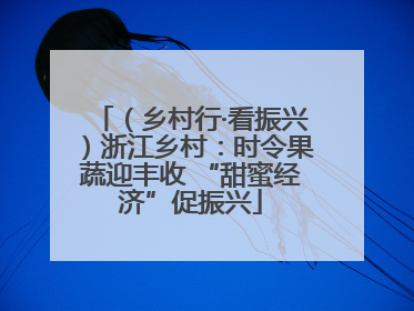 （乡村行·看振兴）浙江乡村：时令果蔬迎丰收 “甜蜜经济”促振兴