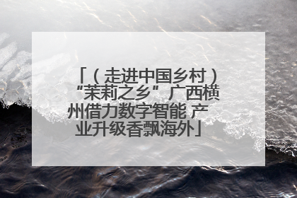 （走进中国乡村）“茉莉之乡”广西横州借力数字智能 产业升级香飘海外