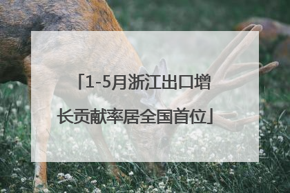 1-5月浙江出口增长贡献率居全国首位