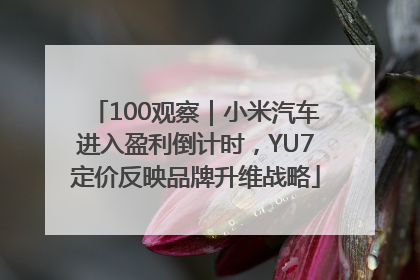100观察｜小米汽车进入盈利倒计时，YU7定价反映品牌升维战略