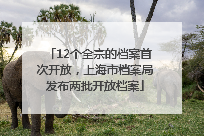 12个全宗的档案首次开放，上海市档案局发布两批开放档案