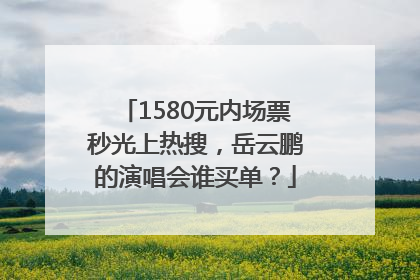 1580元内场票秒光上热搜，岳云鹏的演唱会谁买单？