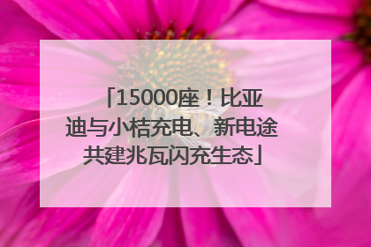 15000座！比亚迪与小桔充电、新电途共建兆瓦闪充生态