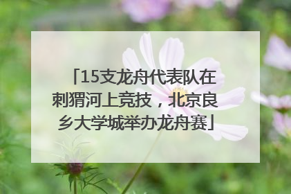 15支龙舟代表队在刺猬河上竞技，北京良乡大学城举办龙舟赛