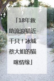 18年救助流浪猫近千只！冰城蔡大姐的猫咪情缘