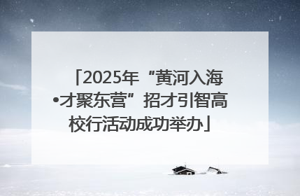 2025年“黄河入海•才聚东营”招才引智高校行活动成功举办