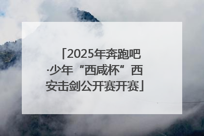 2025年奔跑吧·少年“西咸杯”西安击剑公开赛开赛