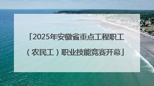 2025年安徽省重点工程职工（农民工）职业技能竞赛开幕