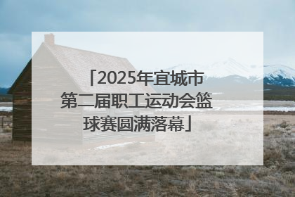 2025年宜城市第二届职工运动会篮球赛圆满落幕