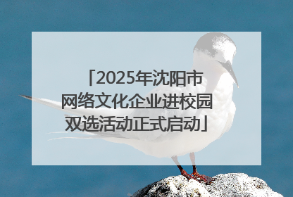 2025年沈阳市网络文化企业进校园双选活动正式启动